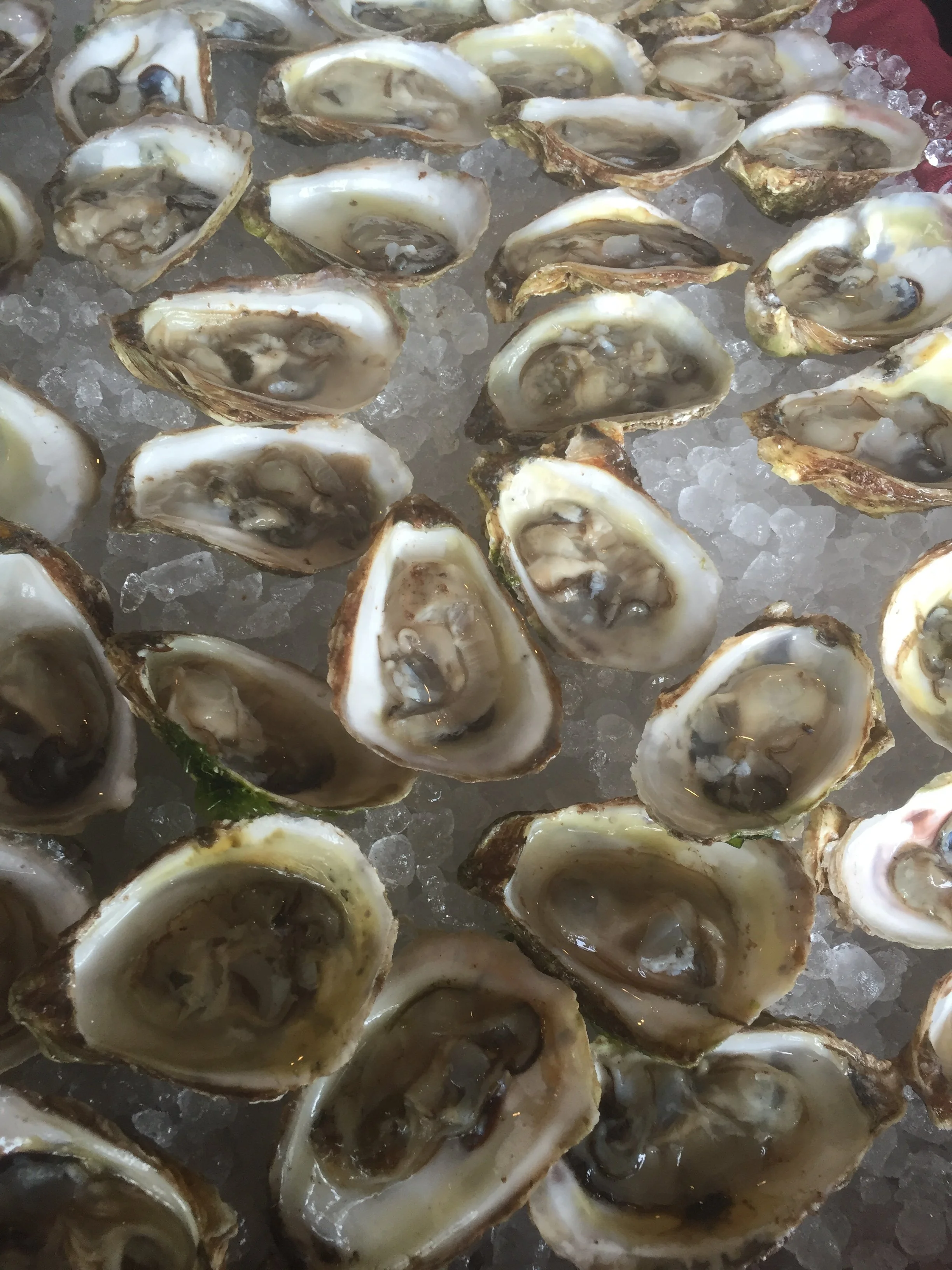Oyster Night