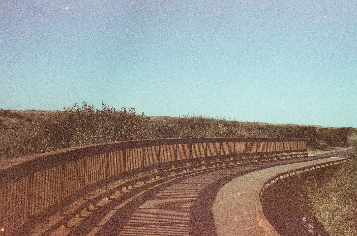 Ocean Shores opened a new multi use trail. Got to walk it on a recent sunny day #cinestill800t developed by the folks at @moodysfilm