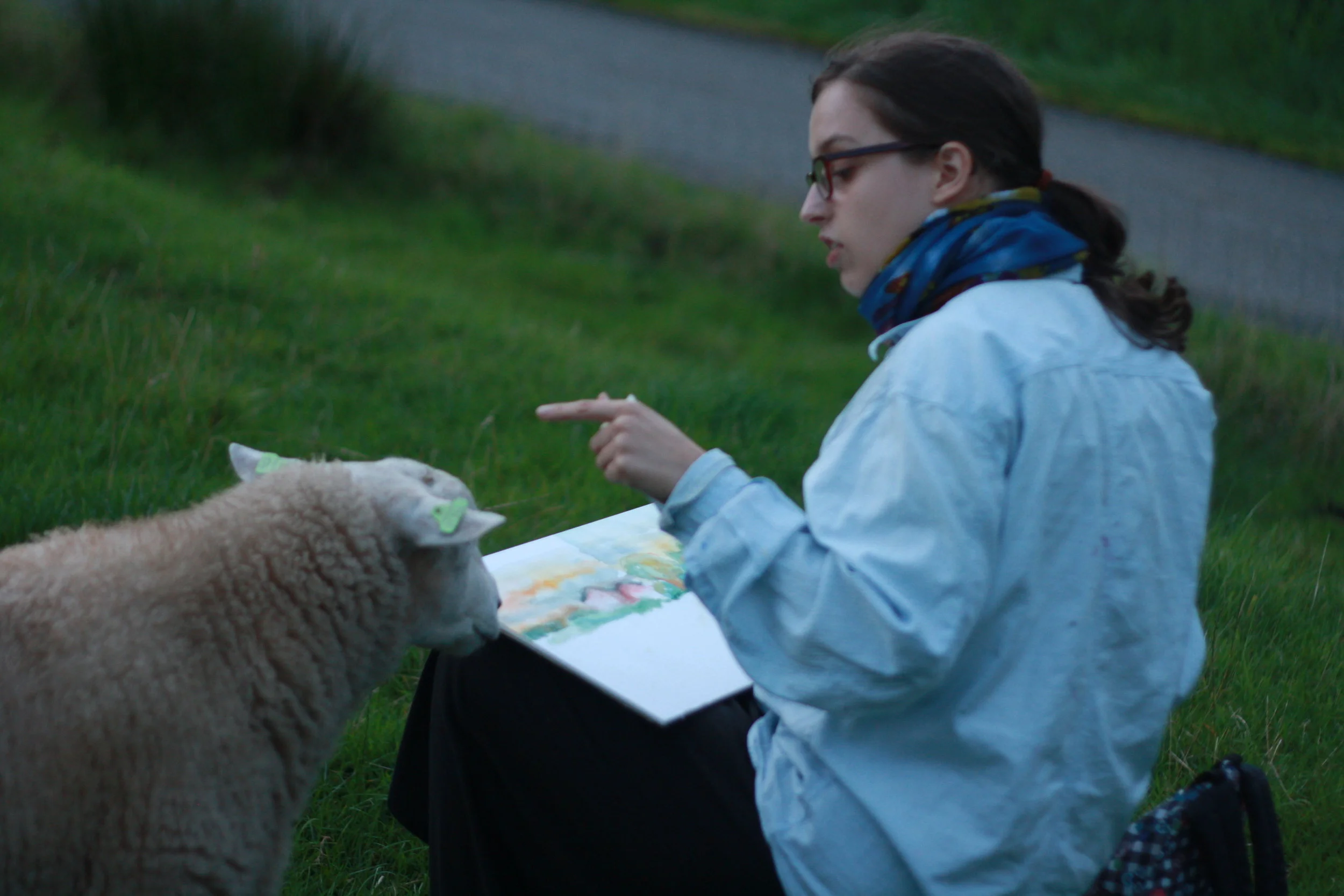 Schilderen in Hoogland (Amersfoort), met brutale schapen