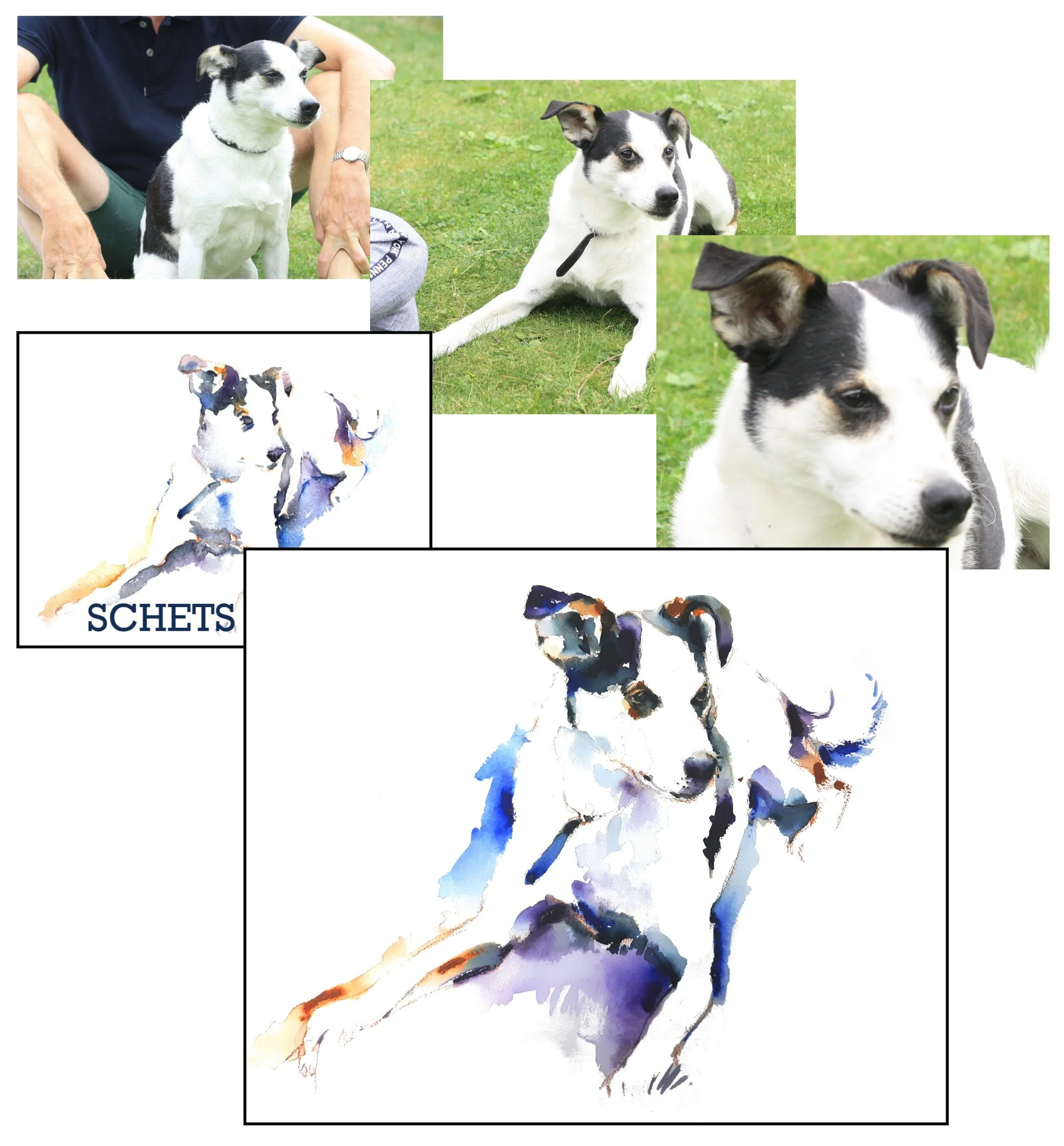 Tjeppe, van fotosessie via schets naar aquarel