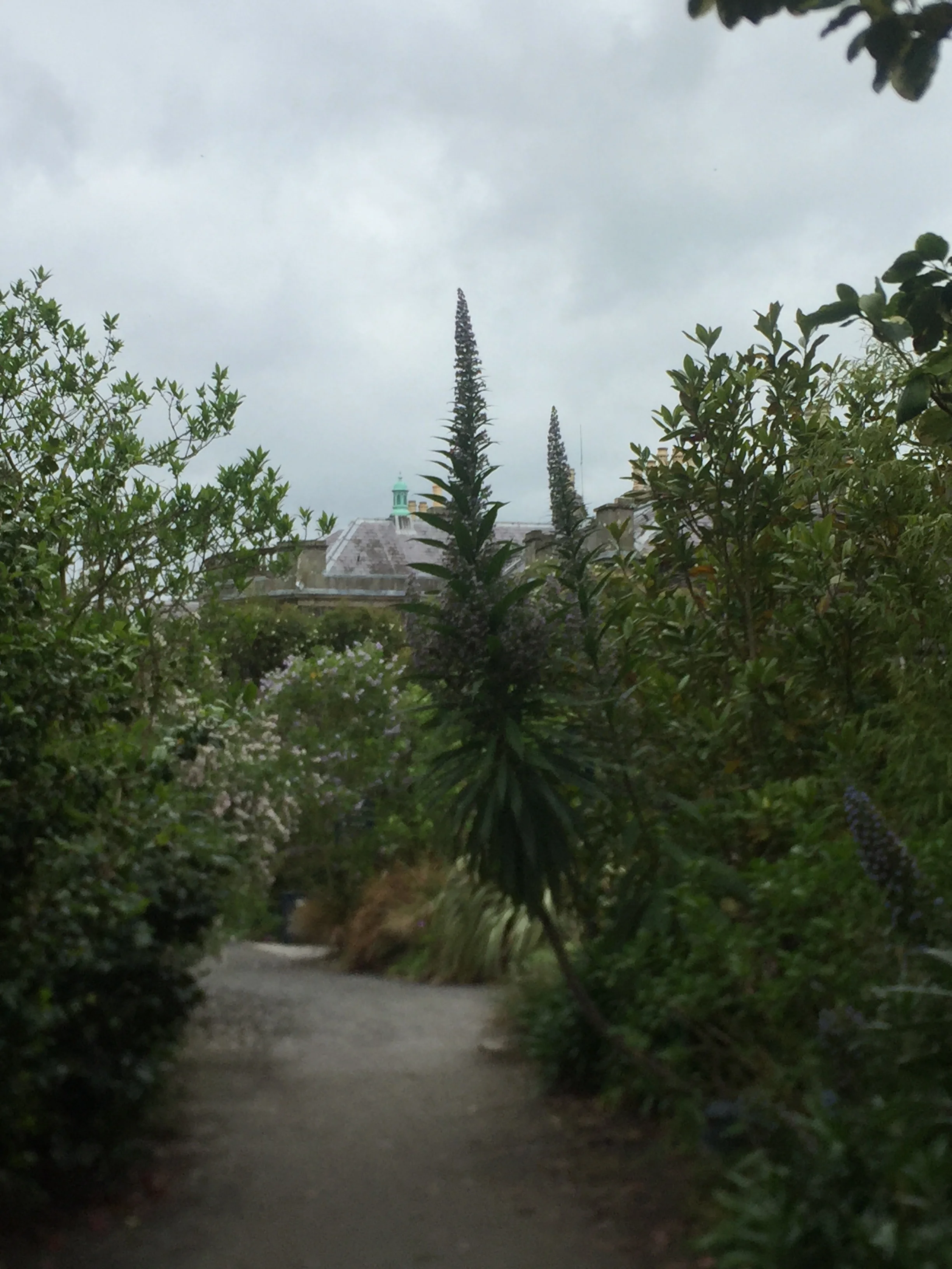 MountStewartGarden2.jpg