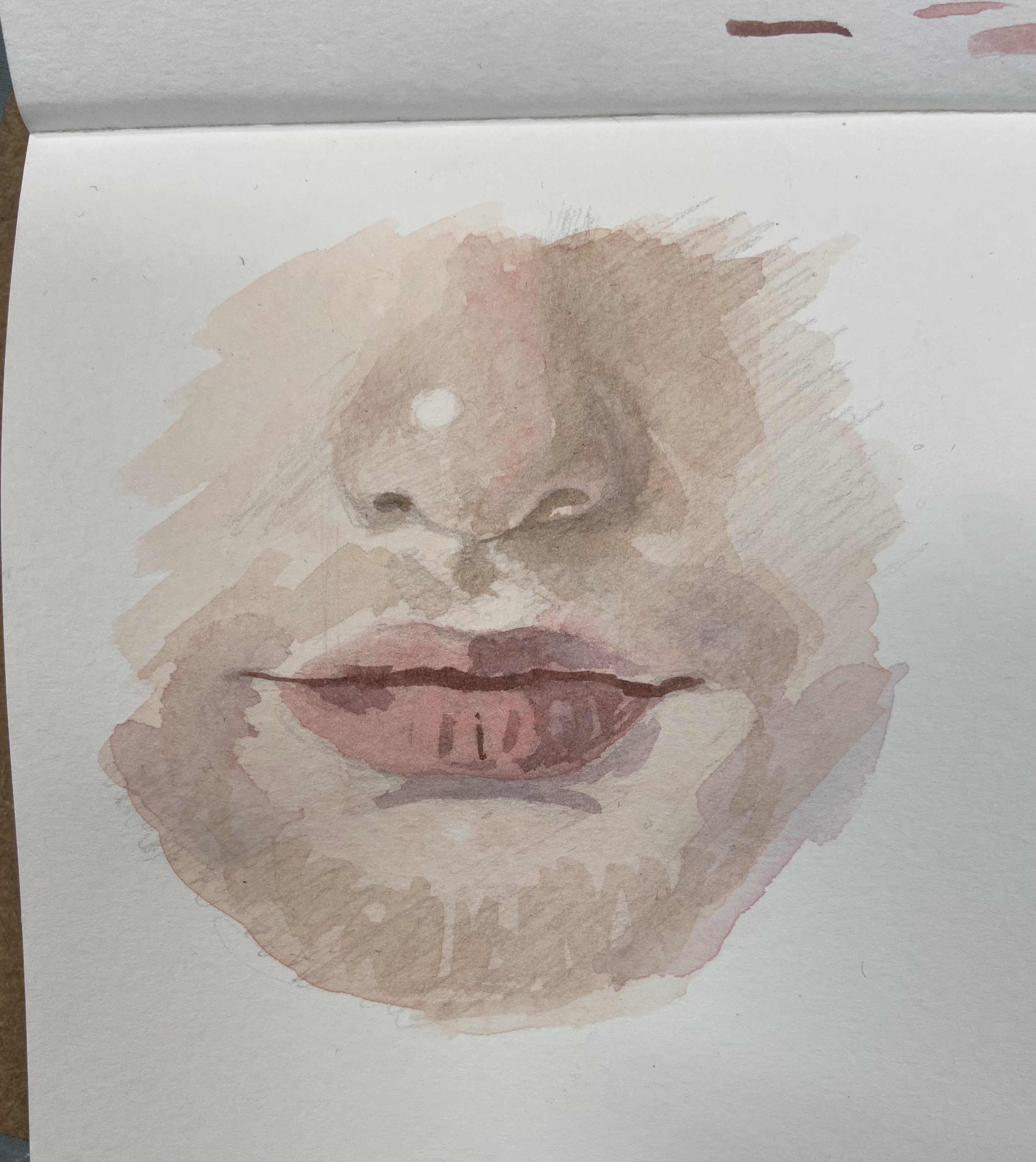  Julie’s demo - very small - graphite and watercolour 