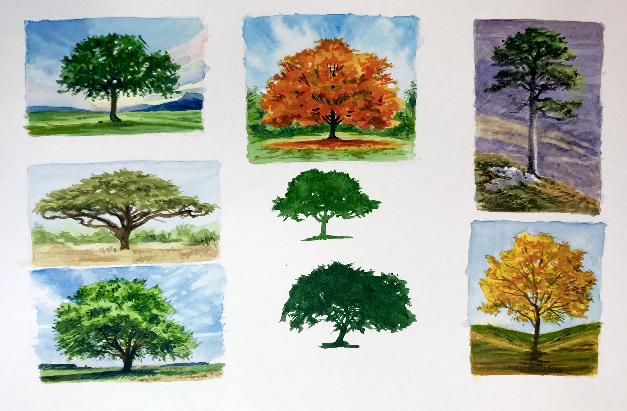  Trees, Julie Douglas 