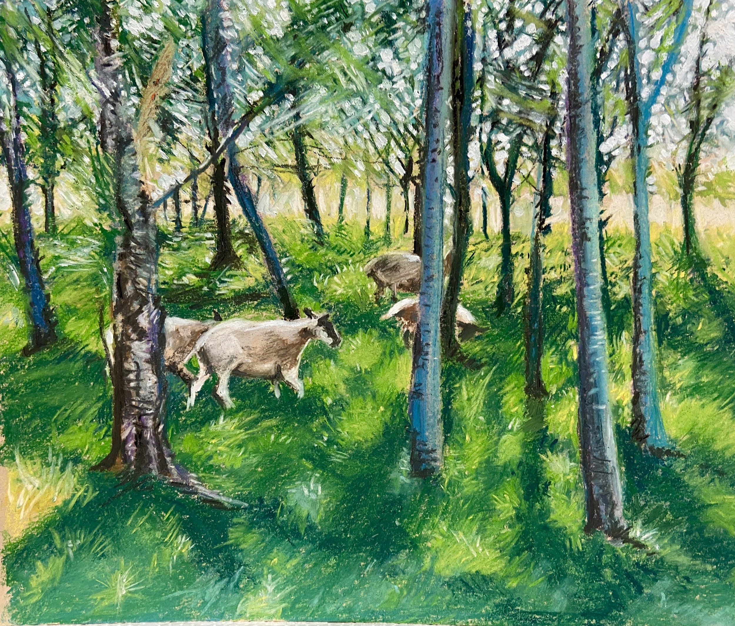 Pastel sheep, Julie Douglas