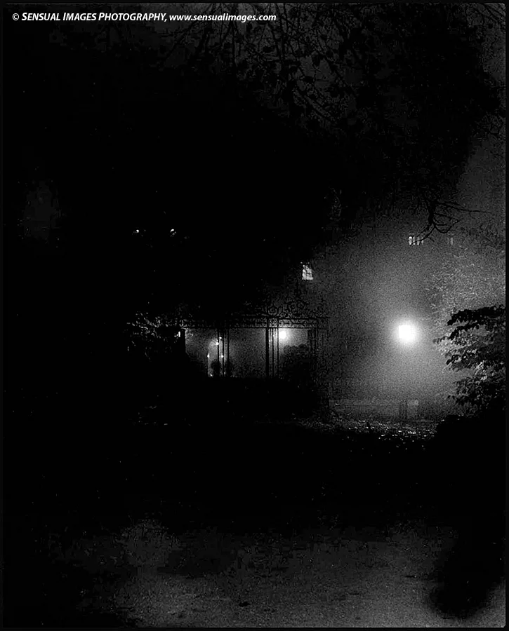 Clare-Fog-me.jpg