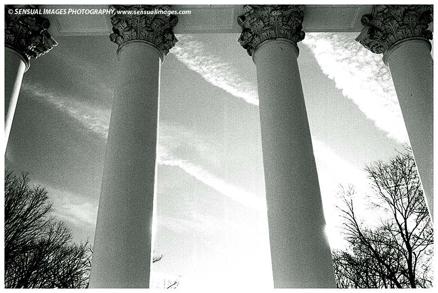 Columns-UniversityofVA1-me.jpg