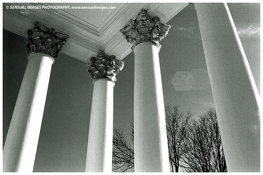 Columns-UniversityofVA2-me.jpg