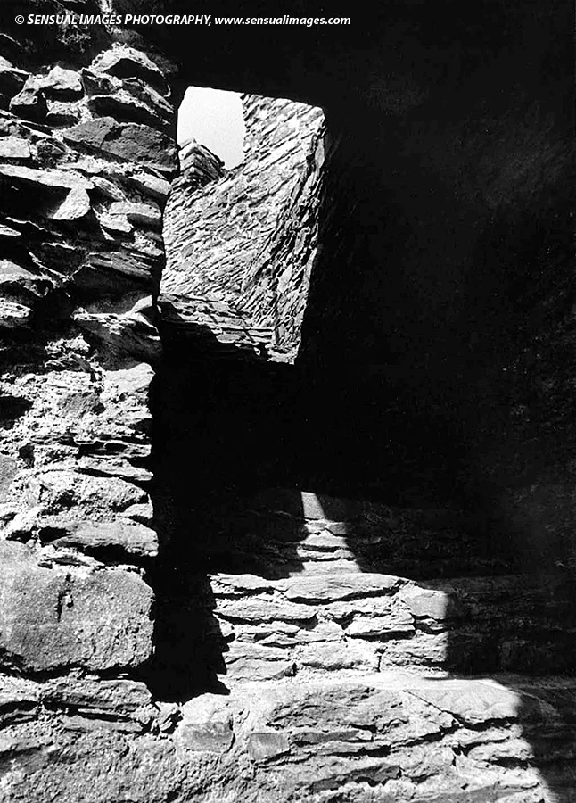 Totnes-Castle-me.jpg