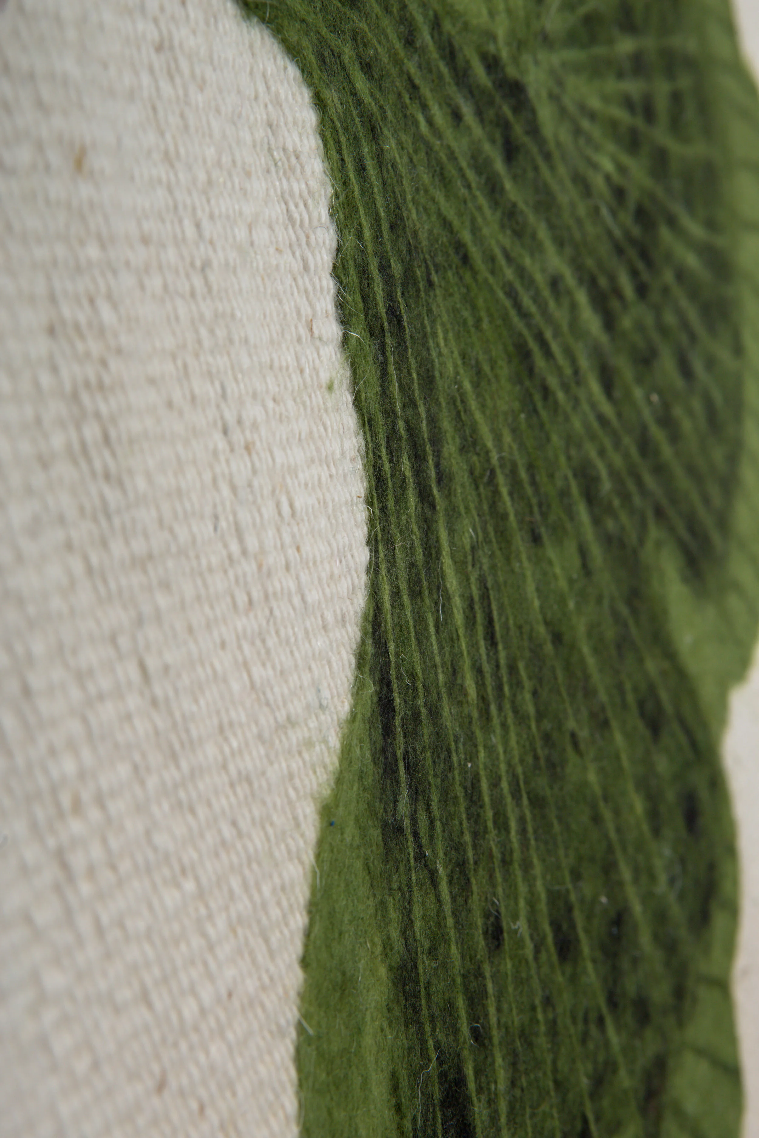 3. FOGLIE - detail 2-3080.jpg