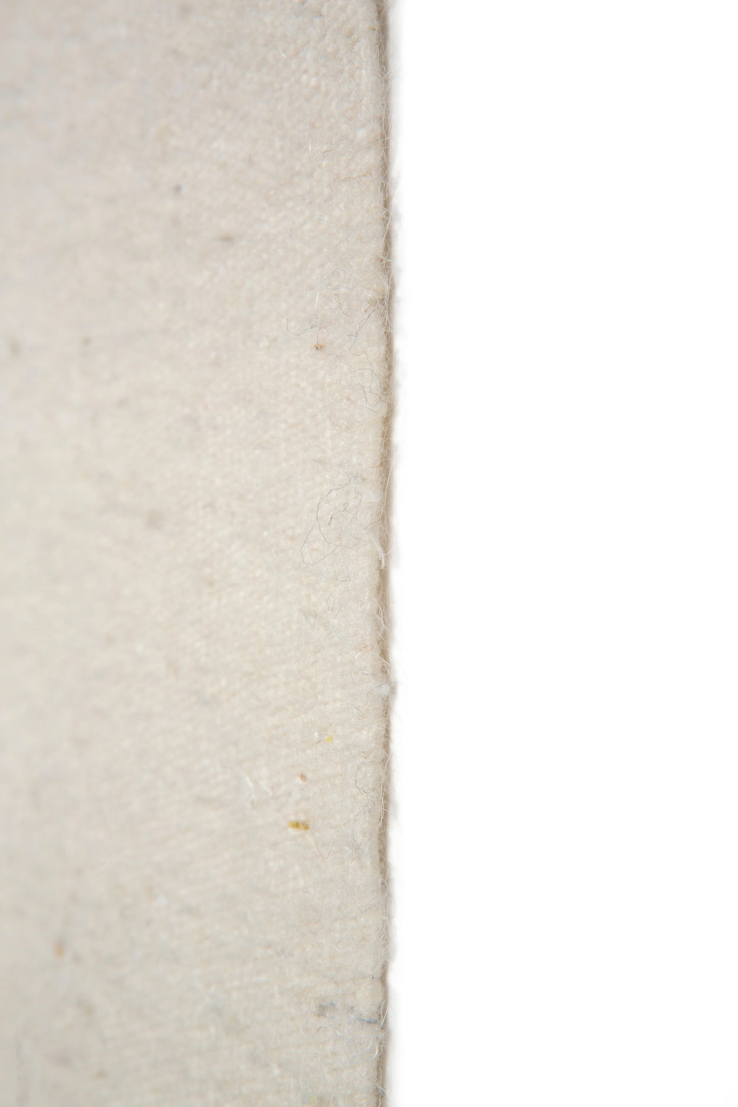 2. HIPPO-detail3-2134.jpg