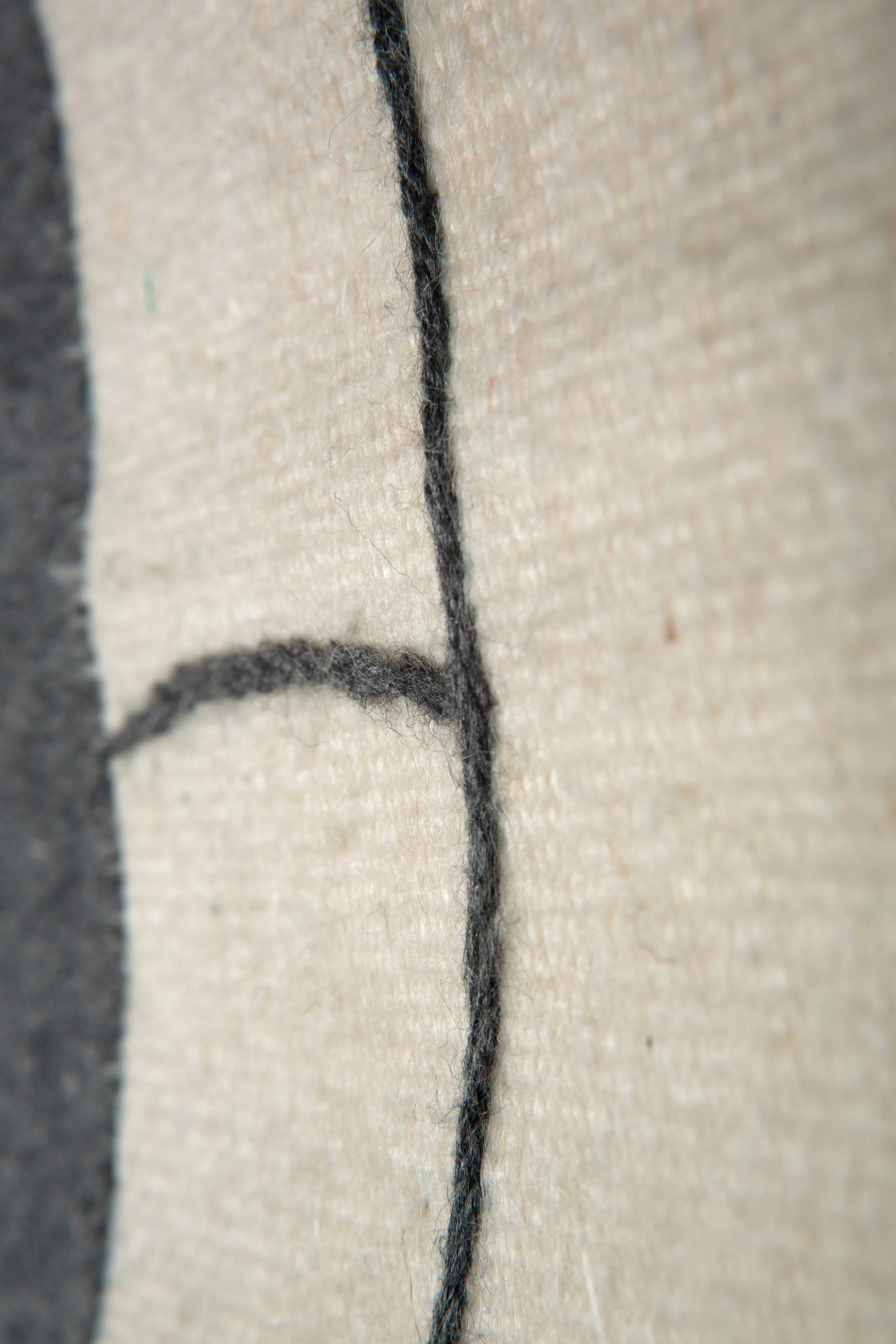 5. POLAR BEAR-detail3-1930.jpg