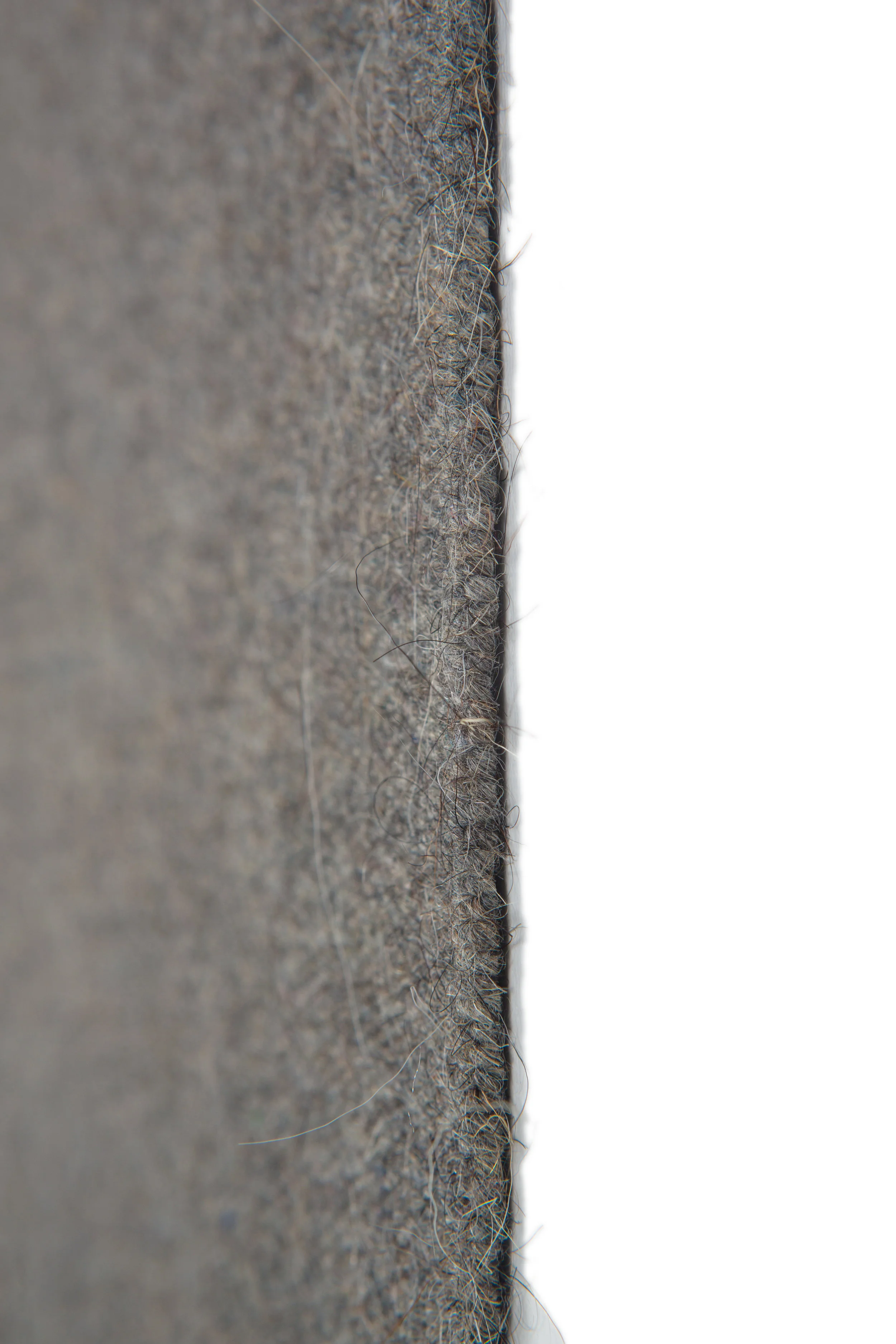 15.CONIGLIO-detail3-1885.jpg