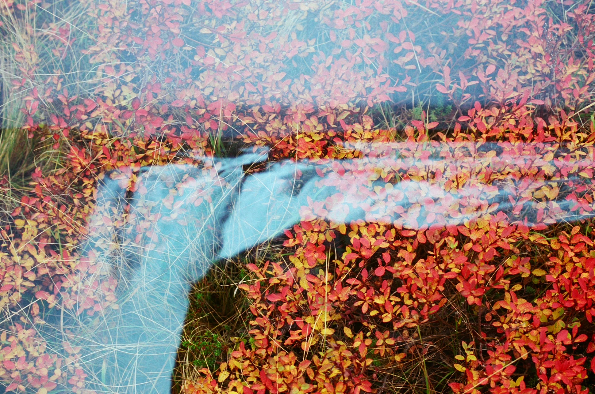 00120002.jpg
