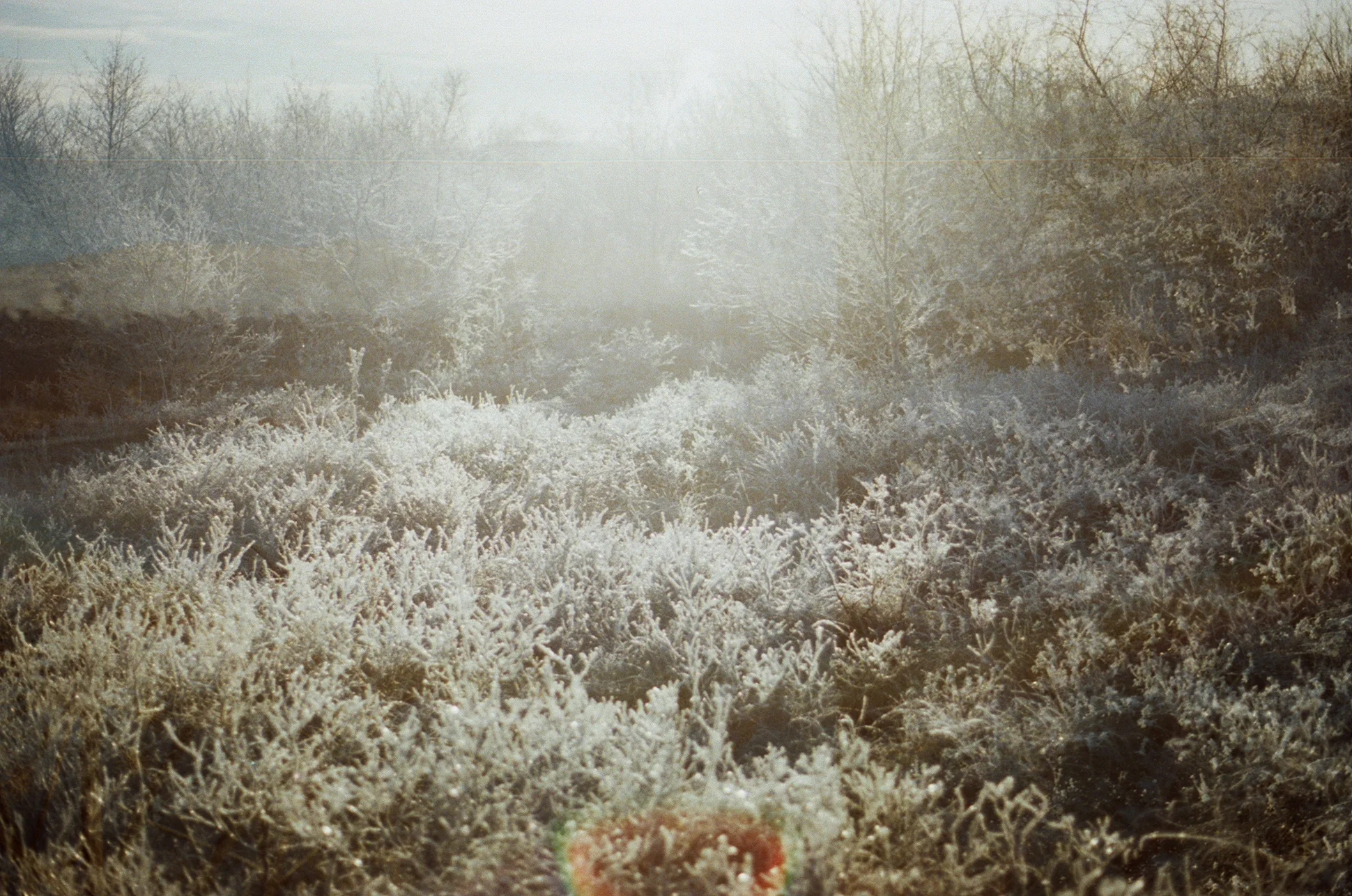 00110026.jpg