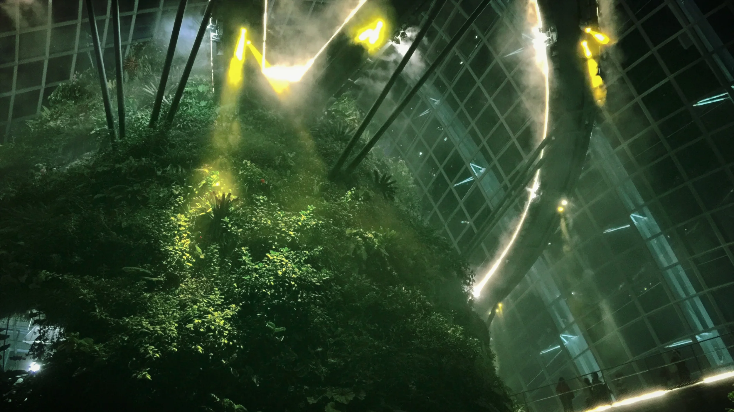 A snap from Gardens by the Bay in Singapore - to me, it truly felt like a forest in a spaceship from the future.