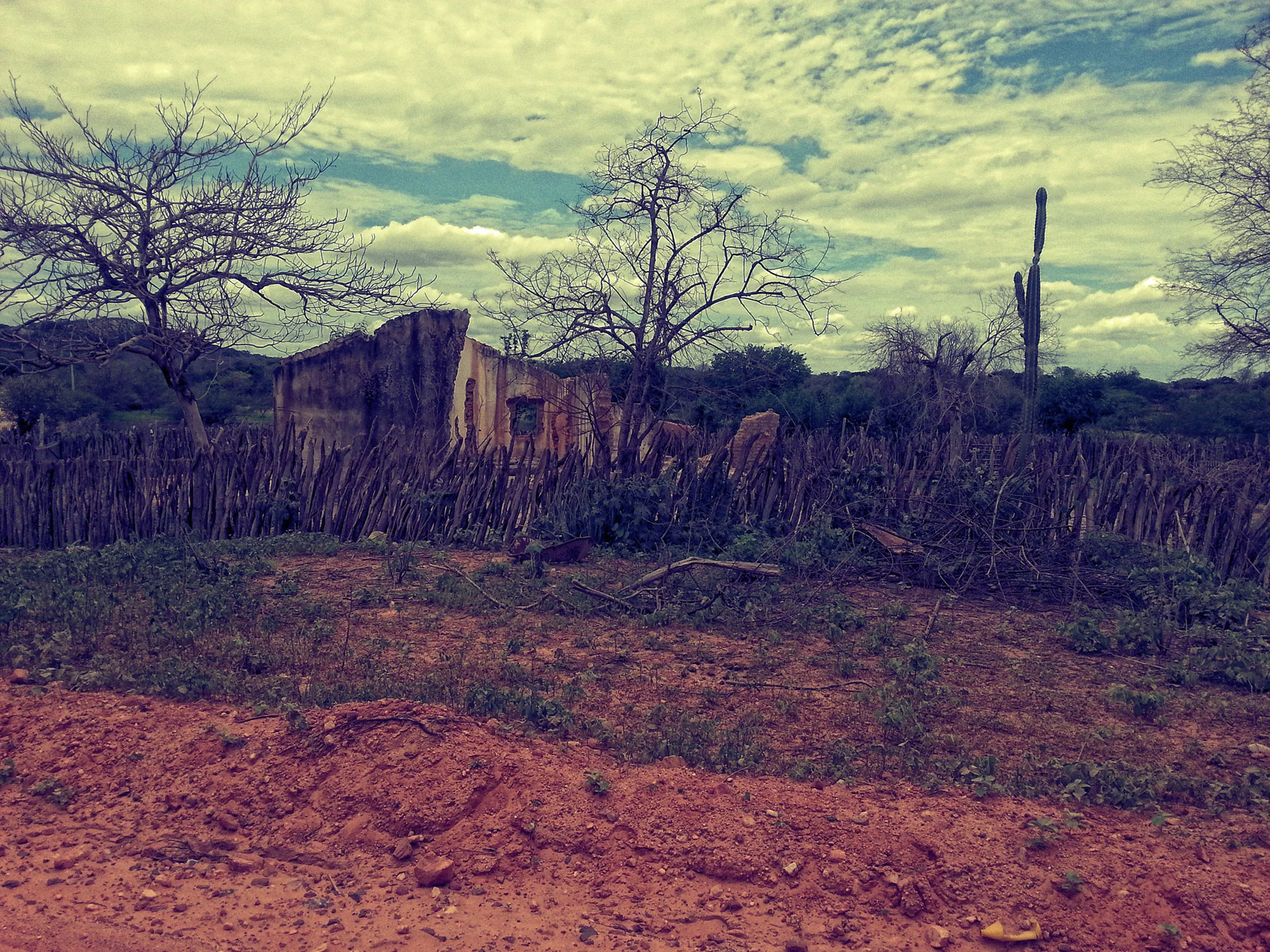 20140114_130642.jpg