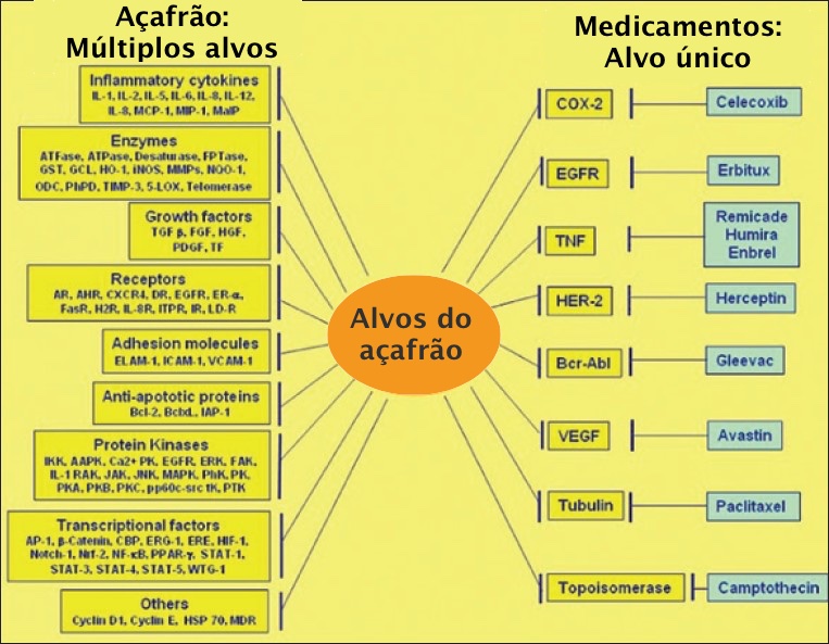 Fonte:&nbsp;Mullaicharam, A. R., &amp; Maheswaran, A. (2012). Pharmacological effects of curcumin Mullaicharam A R, Maheswaran A - Int J Nutr Pharmacol Neurol Dis., 2(2): 92-99.