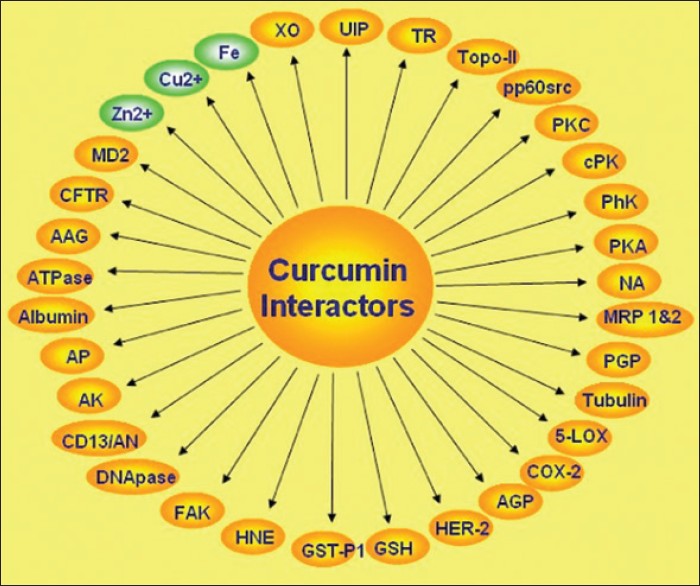 Fonte: http://www.ijnpnd.com/article.asp?issn=2231-0738;year=2012;volume=2;issue=2;spage=92;epage=99;aulast=Mullaicharam