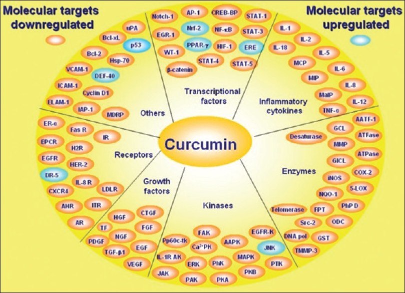 Proteínas, enzimas e receptores modulados pela curcumina. Link: Proteins, enzymes, receptors modulated by curcumin