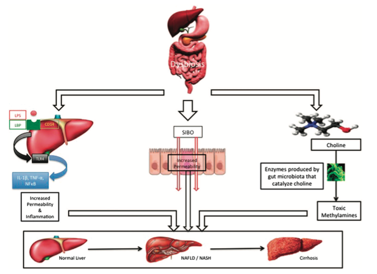 Fonte: Parekh et al., 2015 - http://www.nature.com/ctg/journal/v6/n6/pdf/ctg201516a.pdf