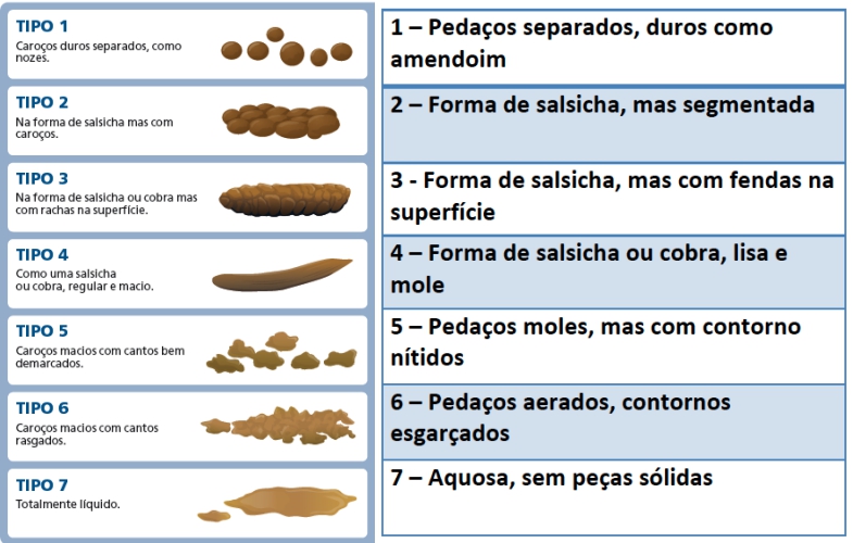 Fezes normais: tipo 4