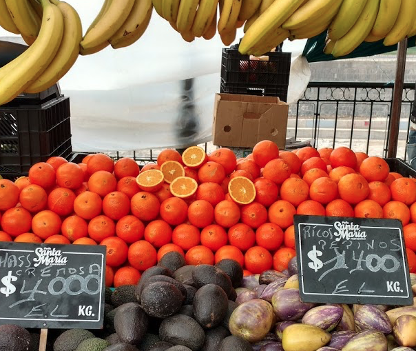 Quer receber notícias sobre alimentação e nutrição em seu e-mail? Assine a Newsletter .
