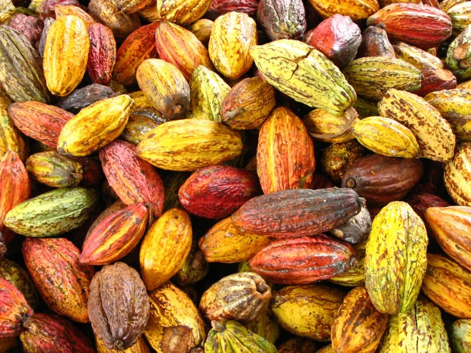 Antioxidantes e sua saúde