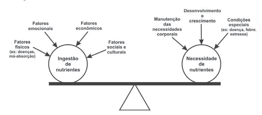 Fonte: Martins, 2009