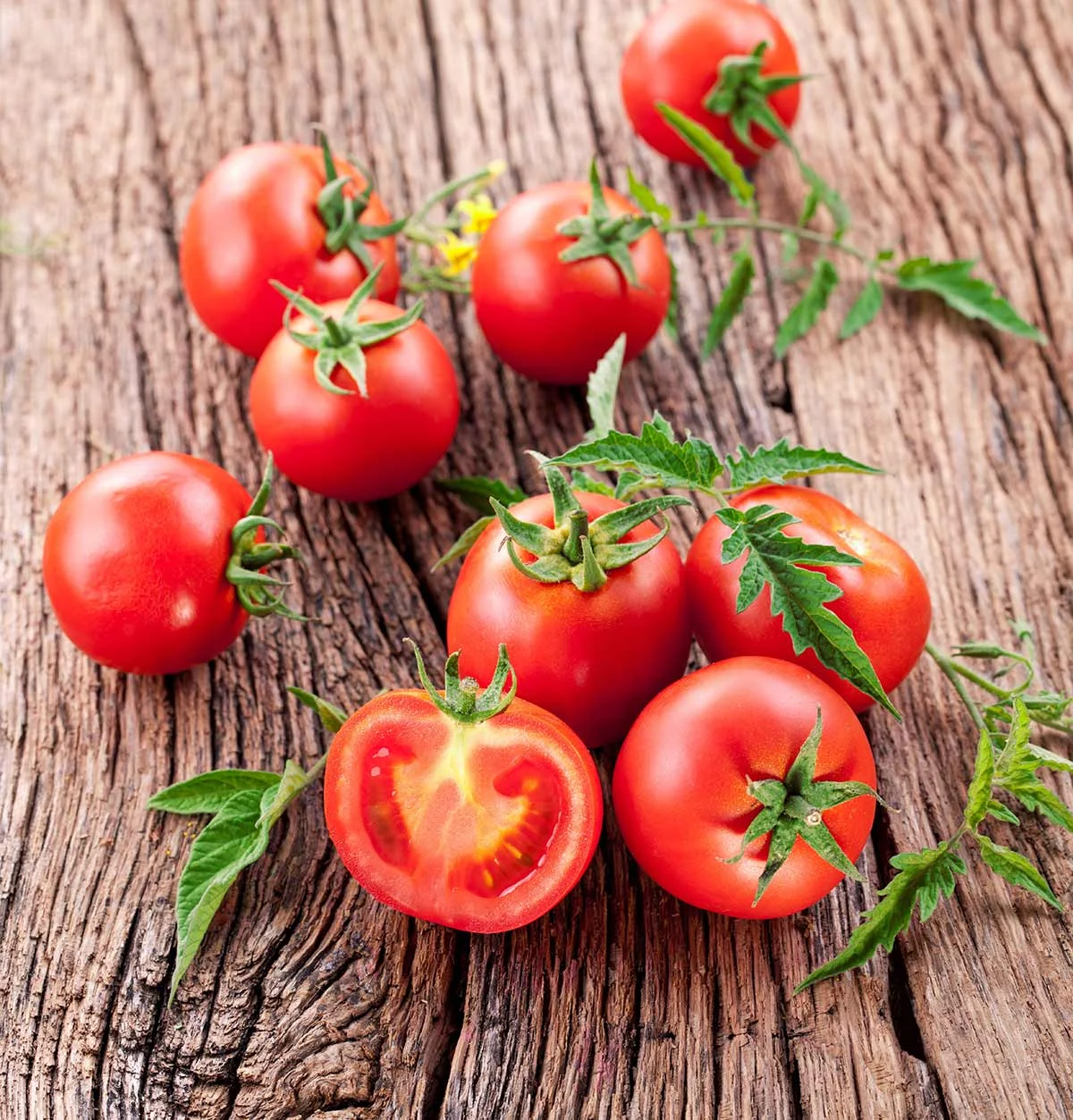 Organic-Tomatoes-for-Juice.jpg