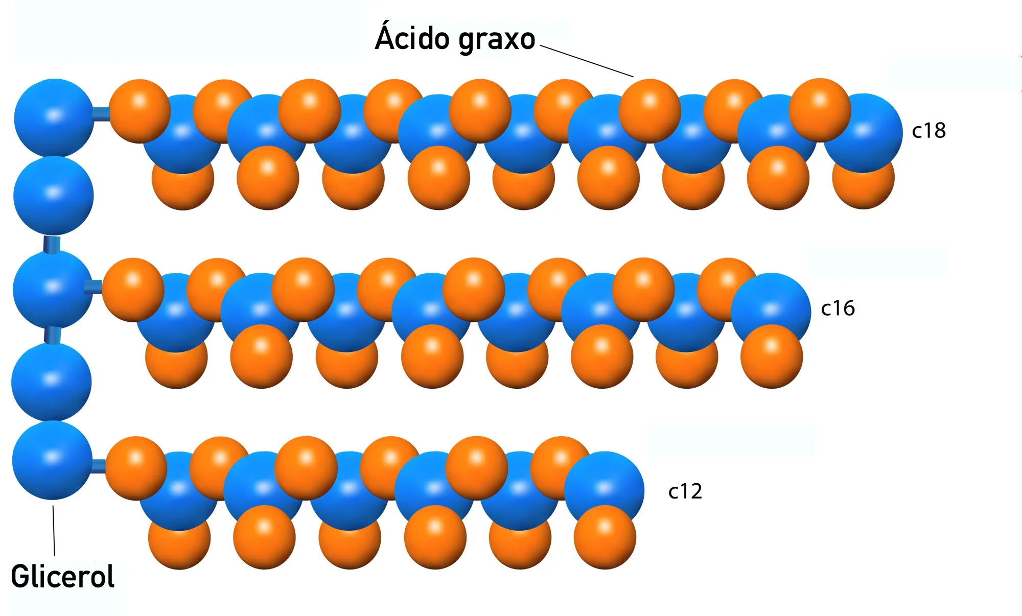 Como o ômega3 reduz os triglicerídeos plasmáticos? — ANDREIA TORRES