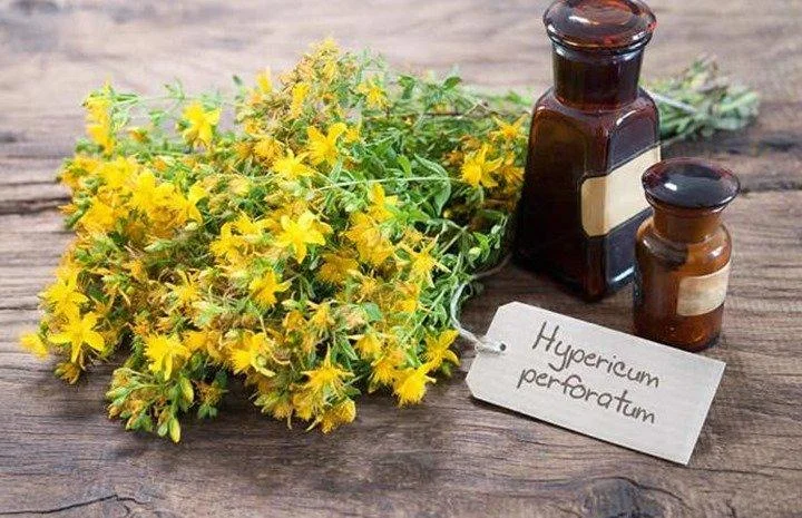 benefits-of-st-johns-wort.jpg