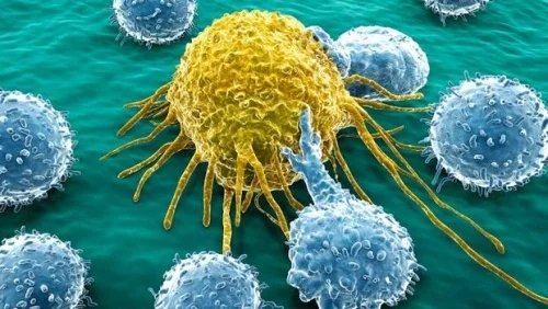 cancer-1-500x282.jpg