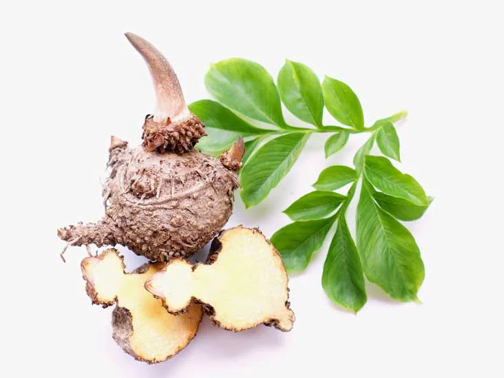AN123-Glucomannan.jpg