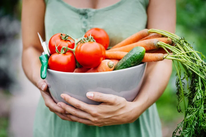 Alimentação vegetariana