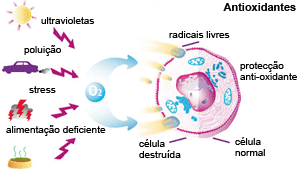 radical livre2.gif