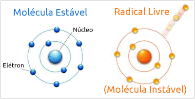 radlivre.png