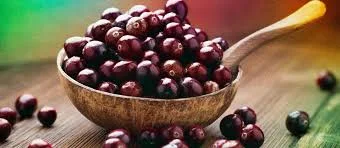 Açaí é rico em antioxidantes bem absorvíveis