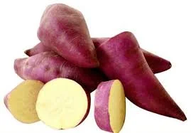 Batata doce no combate do câncer