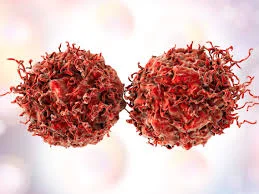 Pectina combate o câncer de próstata