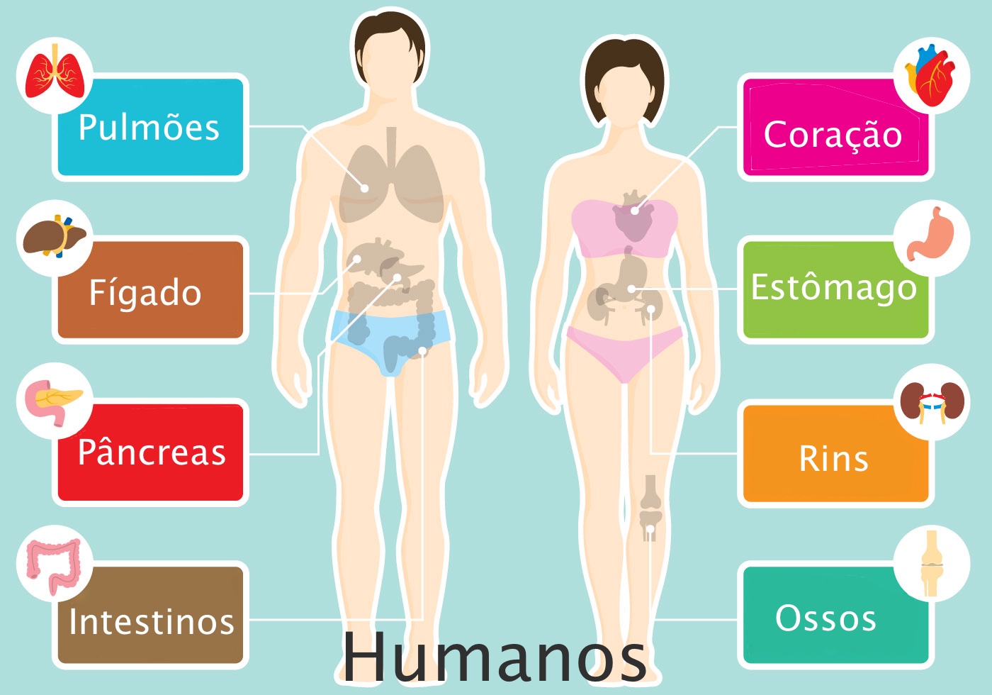 Humanos.jpg