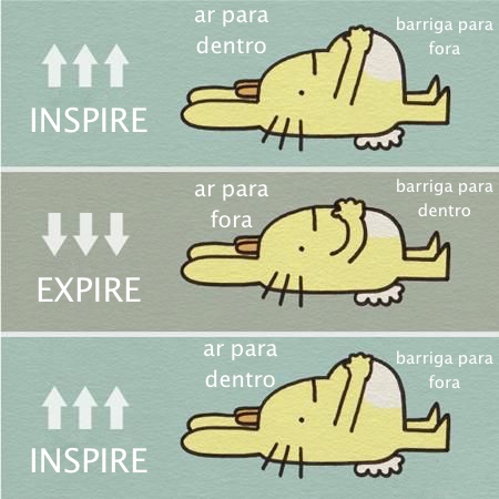 coelho.jpg