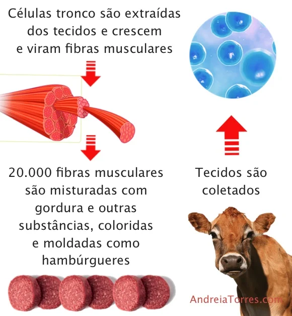 carne falsa.jpg
