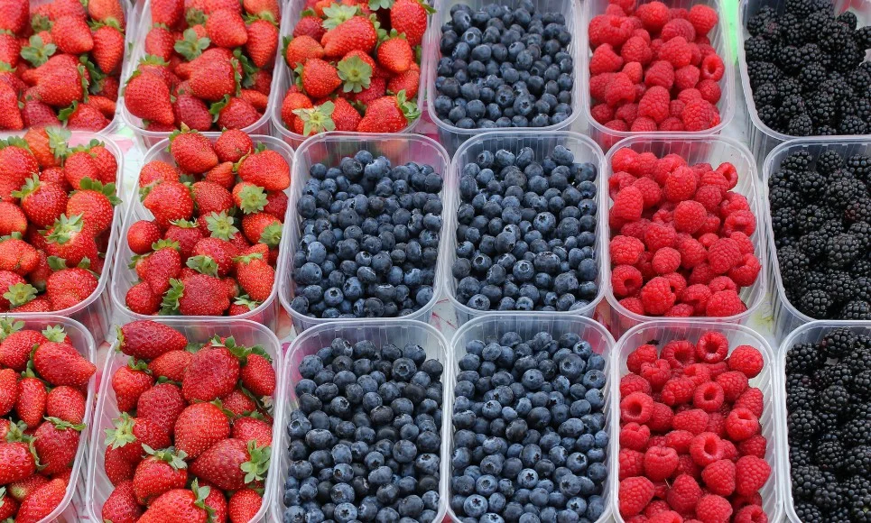 canstockphoto23317980-965x580.jpg
