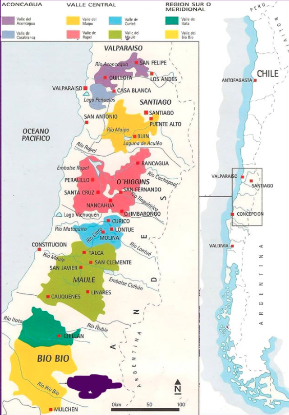 Rota dos vinhos no Chile