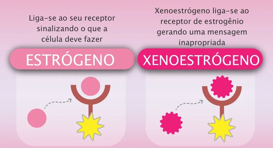 xenoestrogen.jpg