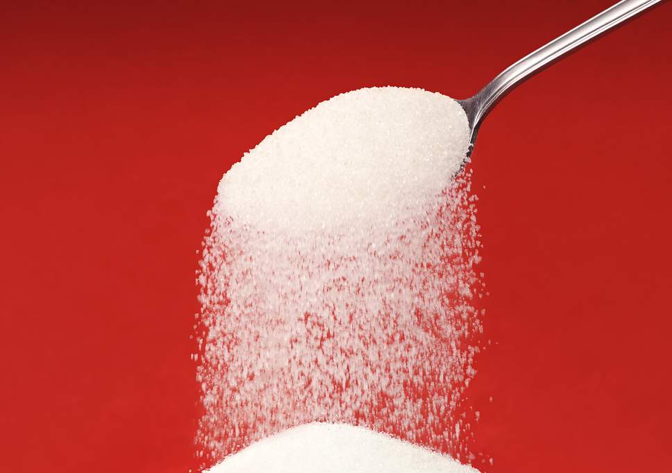 web-sugar-rexv2.jpg