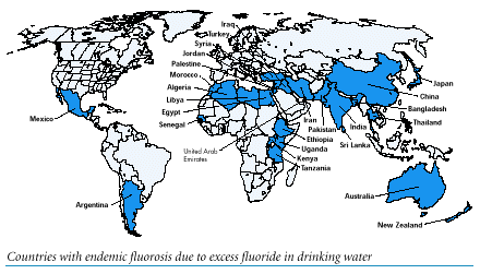 Unicef_fl_map.gif