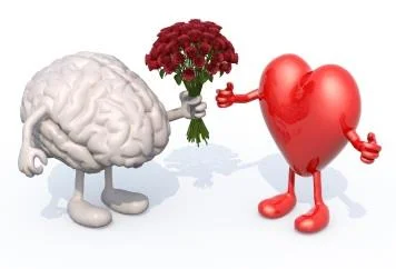 Brain_Heart02111_dp_article.jpg