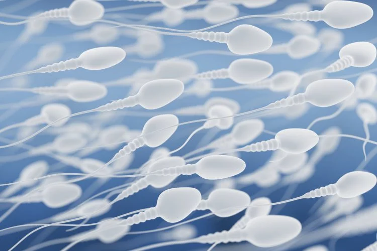 iStock-531829039-e1508939399110.jpg