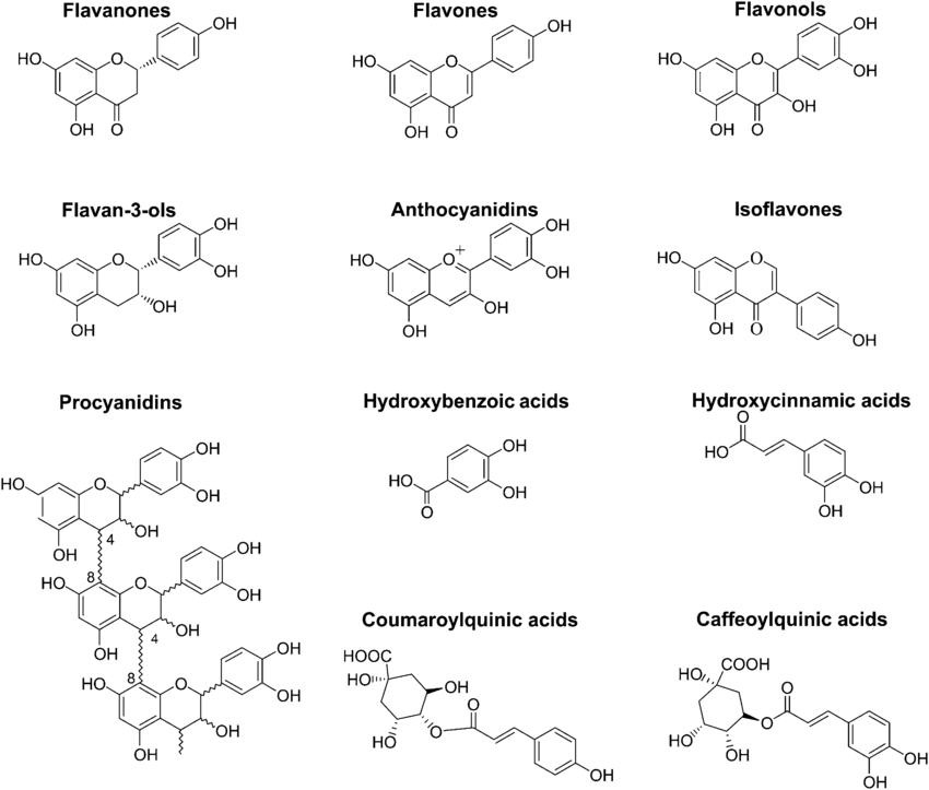 Polyphenol-structures.png